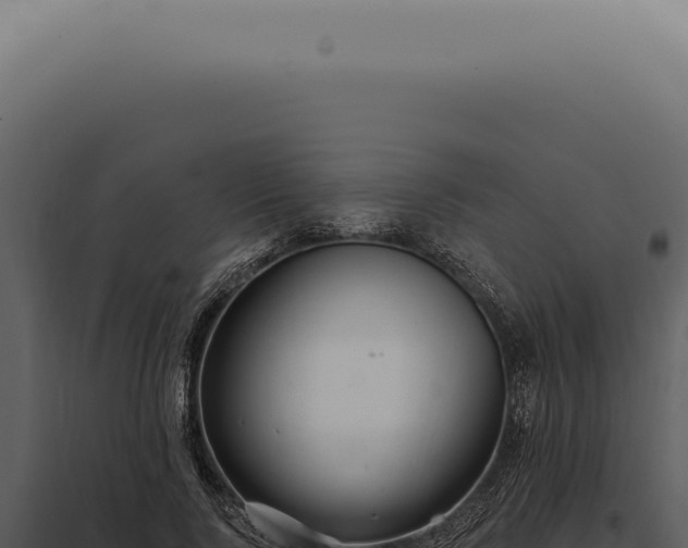X0000097990740200804011808