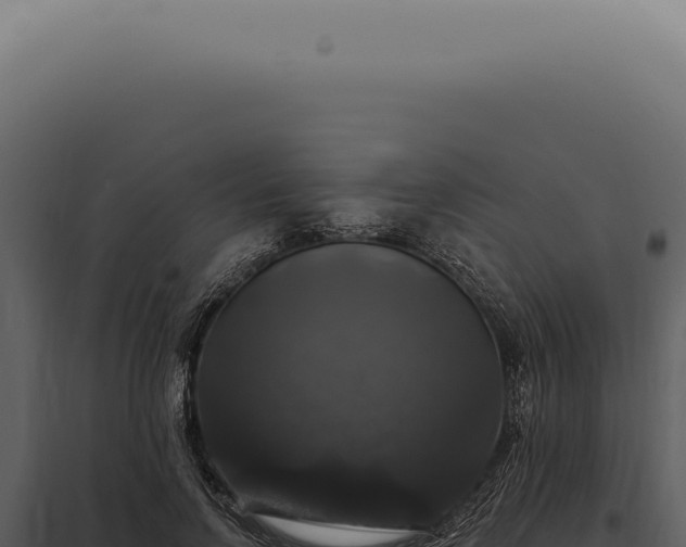 X0000097990742200804011808