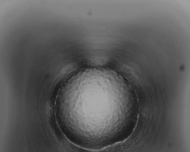 X0000097990743200804011808