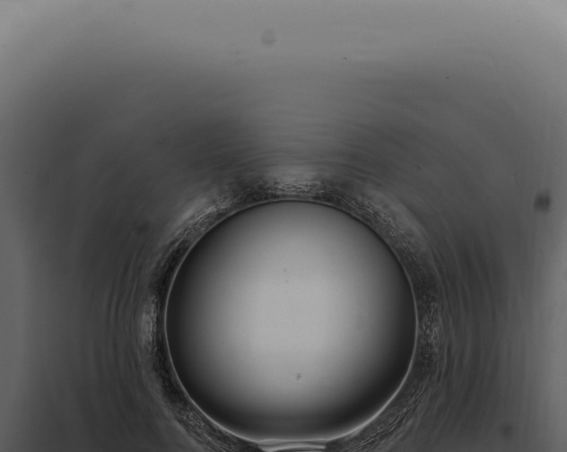 X0000097990744200804011808
