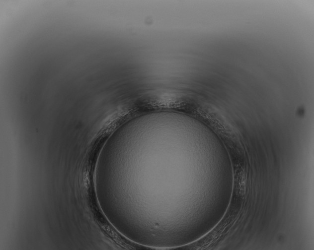 X0000097990746200804011808