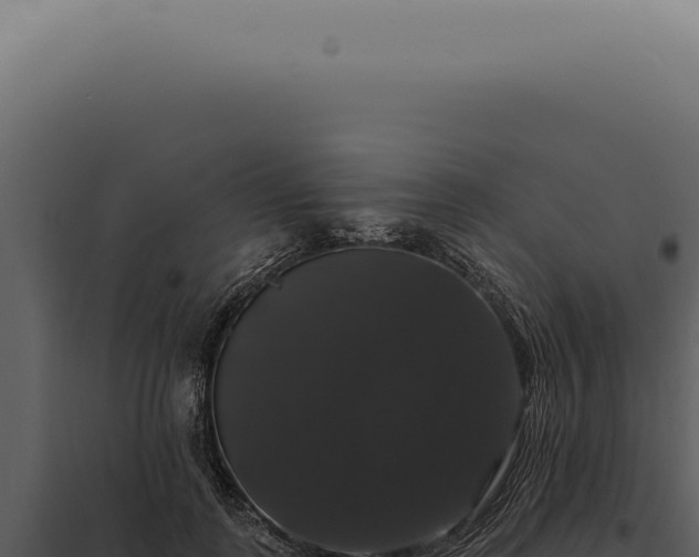 X0000097990747200804011808