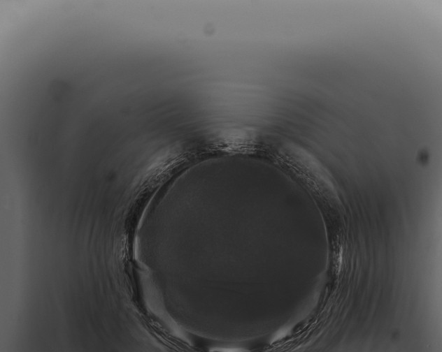 X0000097990748200804011808