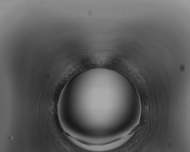 X0000097990750200804011808