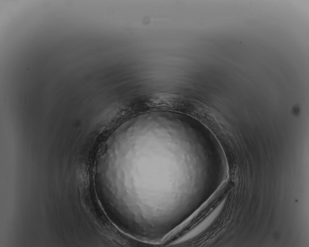 X0000097990751200804011808