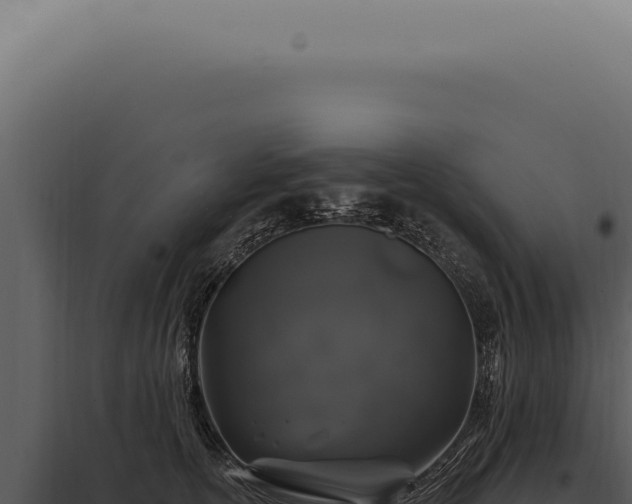 X0000097990754200804011808
