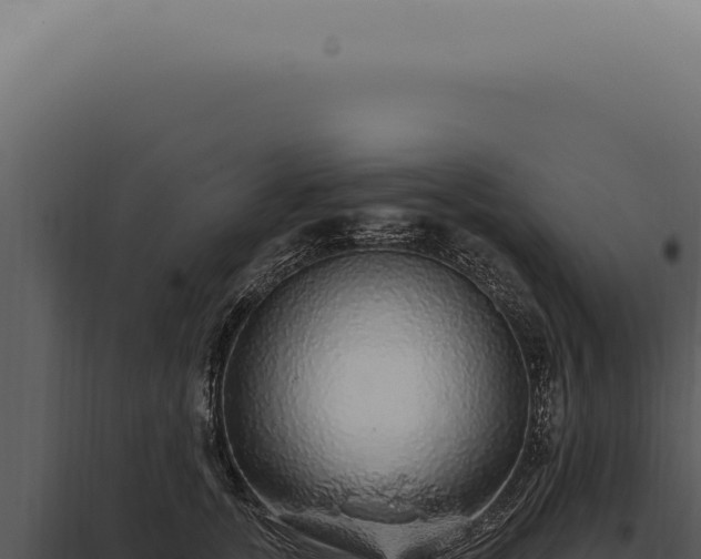 X0000097990755200804011808