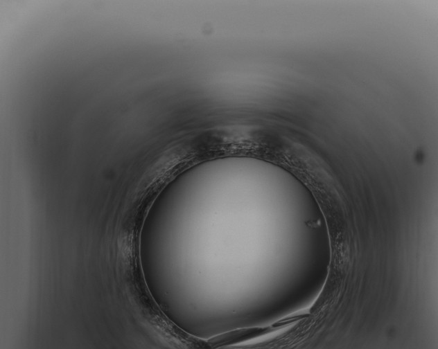 X0000097990756200804011808