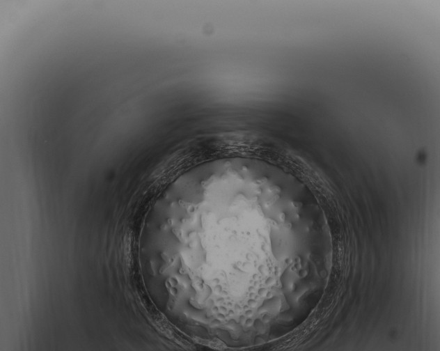 X0000097990757200804011808