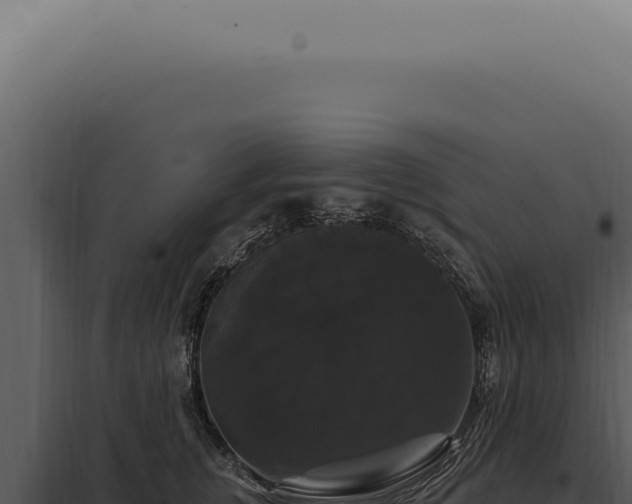 X0000097990759200804011808