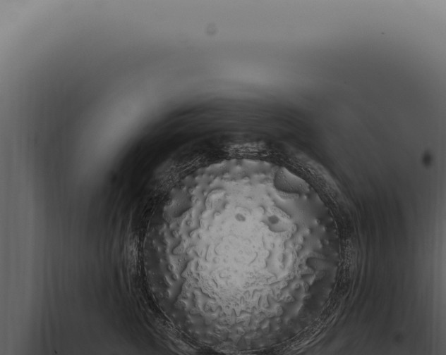X0000097990761200804011808