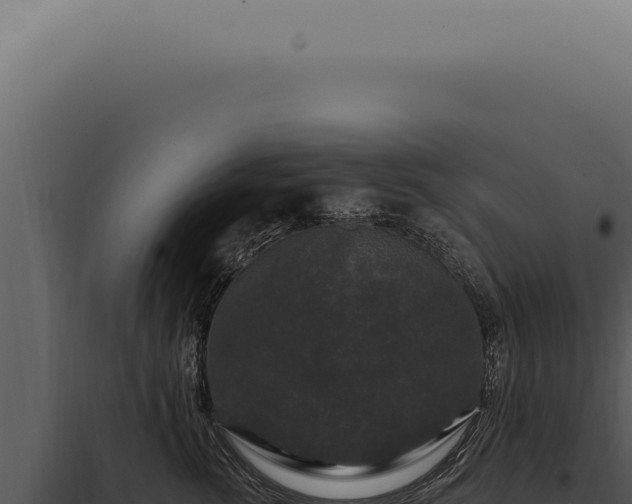X0000097990762200804011808
