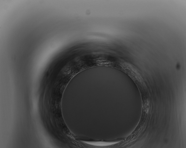 X0000097990763200804011808