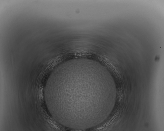 X0000097990770200804011808
