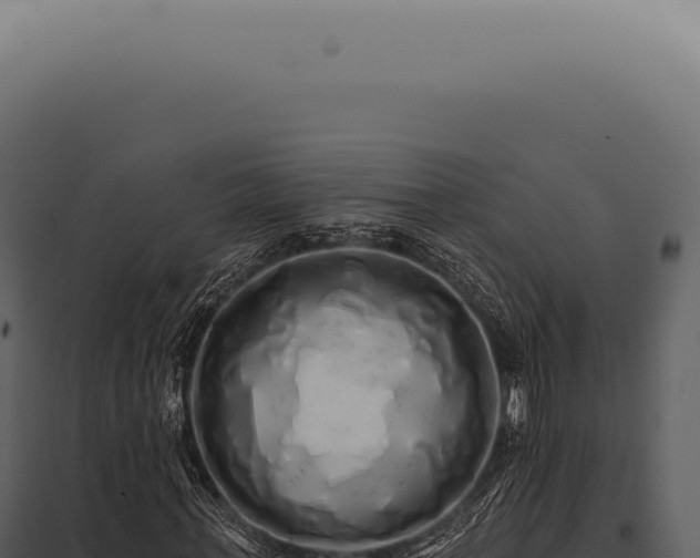 X0000097990771200804011808