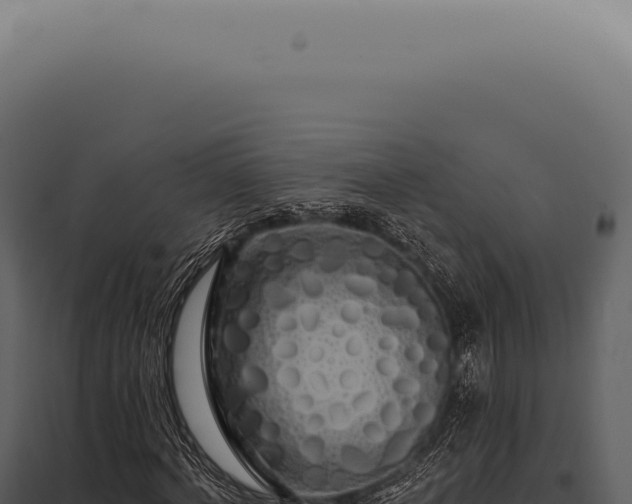 X0000097990772200804011808