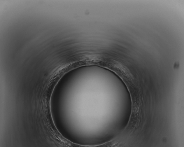 X0000097990773200804011808