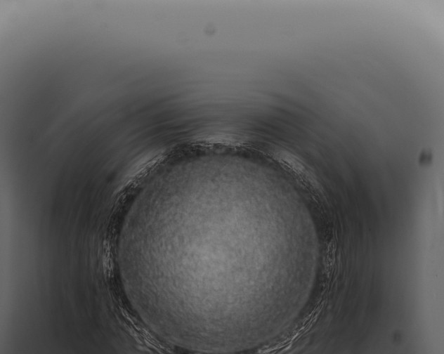X0000097990774200804011808