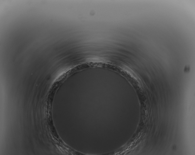 X0000097990775200804011808