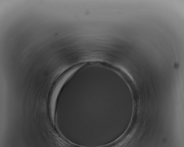 X0000097990777200804011807