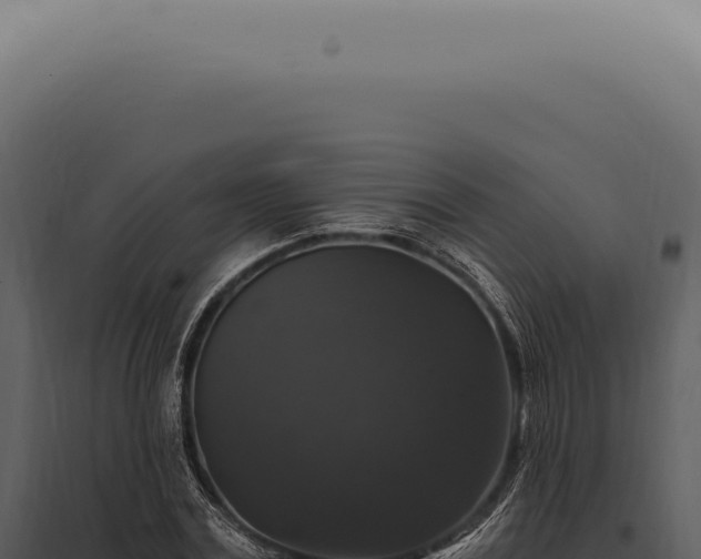X0000097990779200804011807