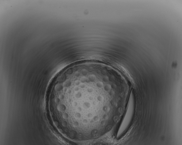 X0000097990780200804011807