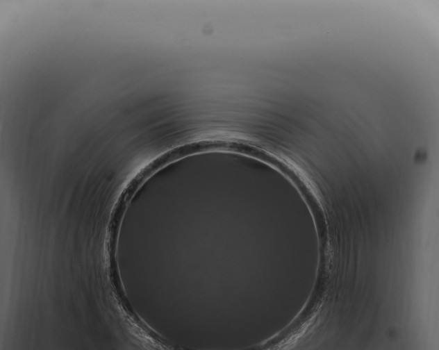 X0000097990783200804011807