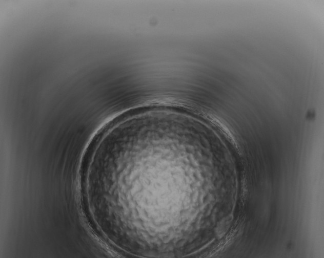 X0000097990784200804011807