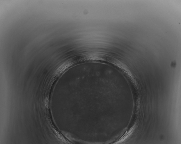 X0000097990785200804011807