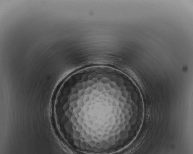 X0000097990787200804011807