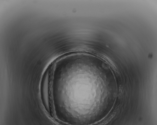 X0000097990788200804011807