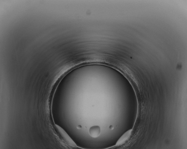 X0000097990789200804011807