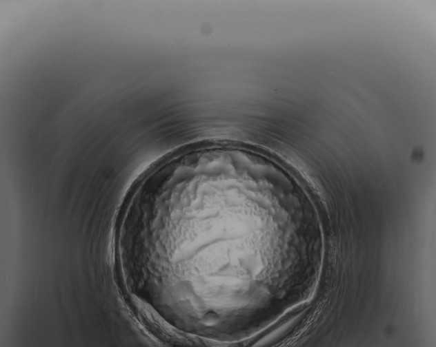 X0000097990791200804011807