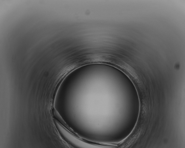 X0000097990793200804011807