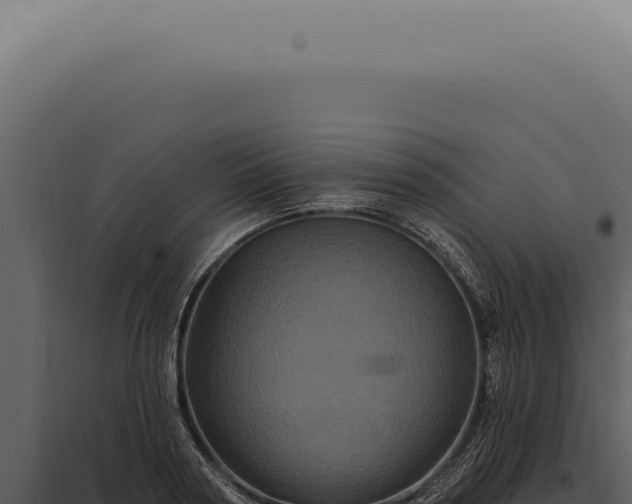 X0000097990794200804011807