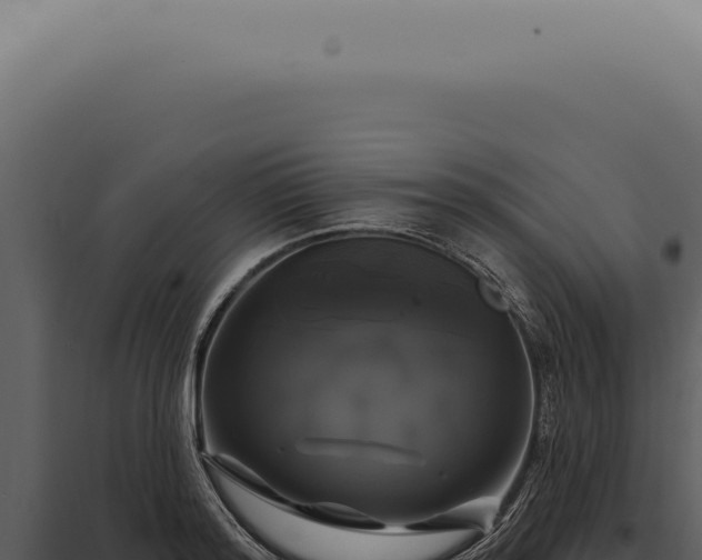 X0000097990796200804011807