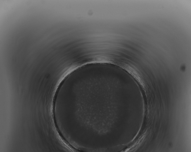 X0000097990797200804011807