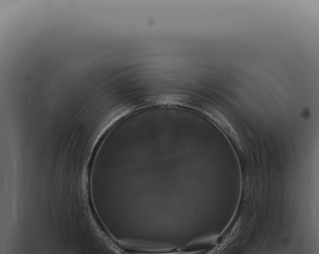 X0000097990798200804011807