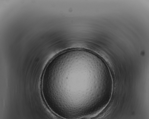 X0000097990799200804011807