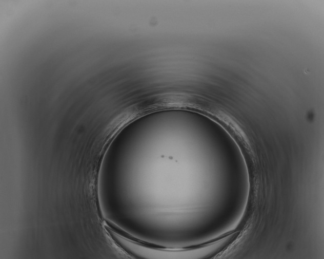 X0000097990801200804011807