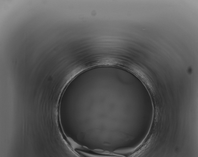 X0000097990802200804011807