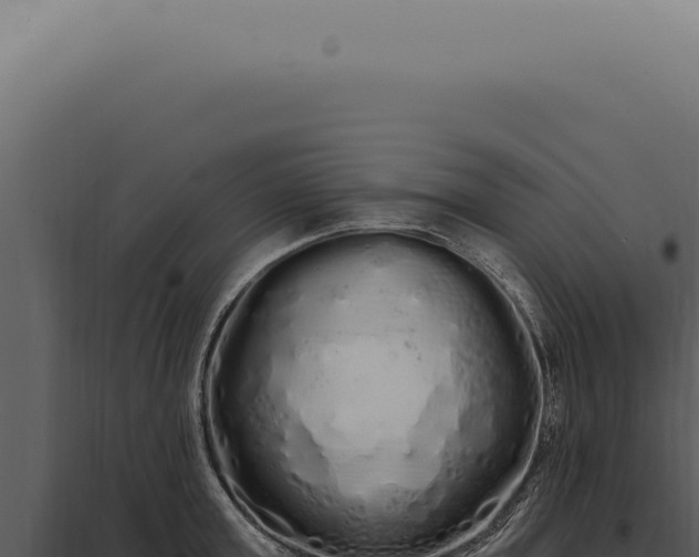X0000097990803200804011807