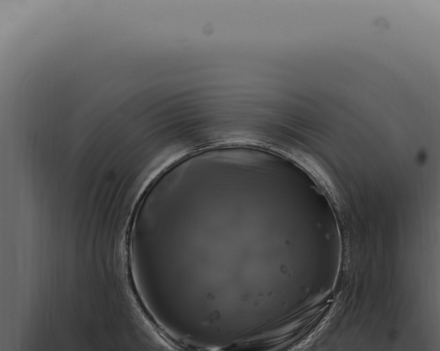 X0000097990806200804011807