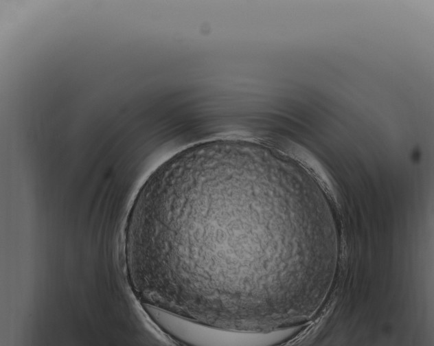 X0000097990808200804011807