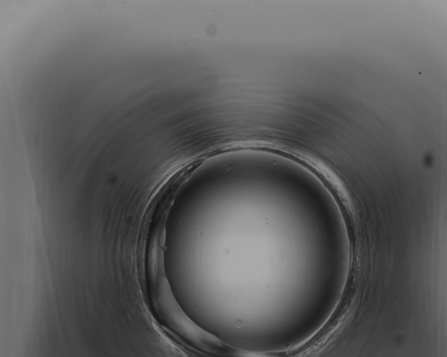 X0000097990809200804011807