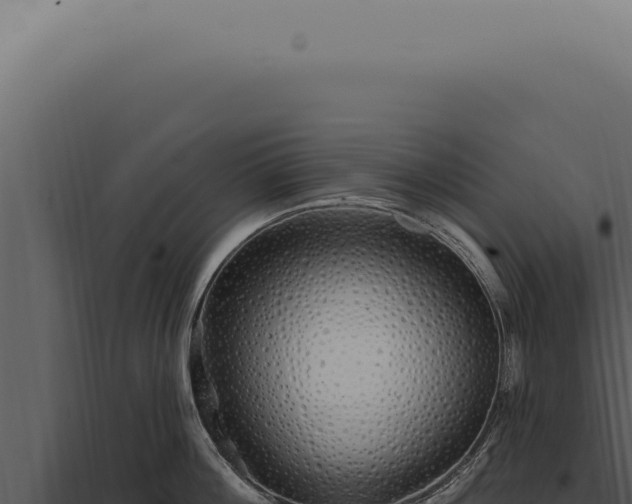 X0000097990812200804011807