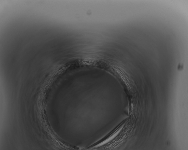 X0000097990817200804011806