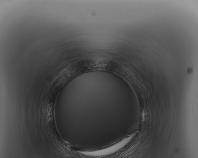 X0000097990818200804011806