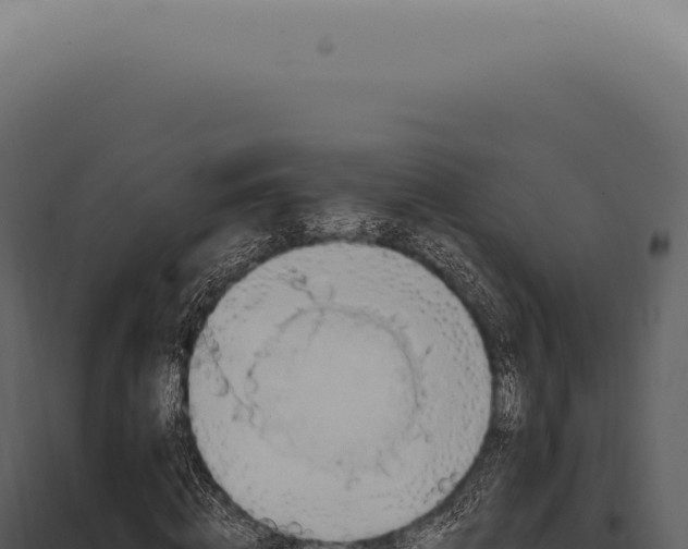 X0000097990820200804011806