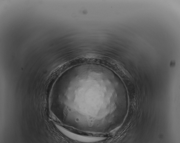 X0000097990821200804011806